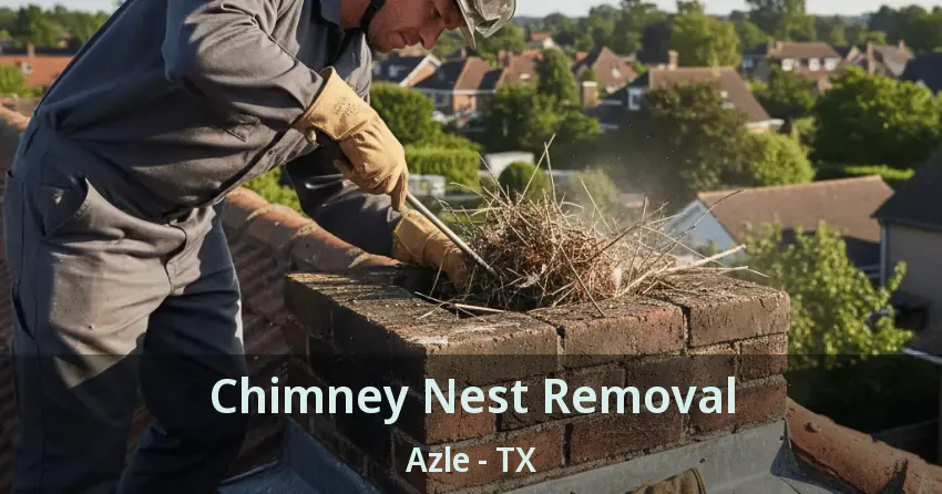 Chimney Nest Removal Azle - TX