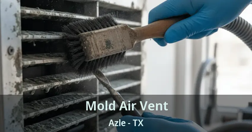 Mold Air Vent Azle - TX