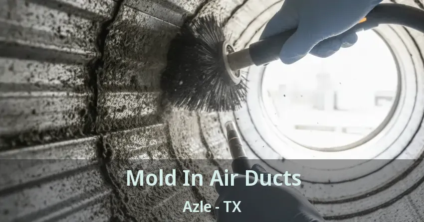 Mold In Air Ducts Azle - TX