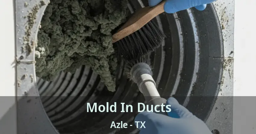 Mold In Ducts Azle - TX