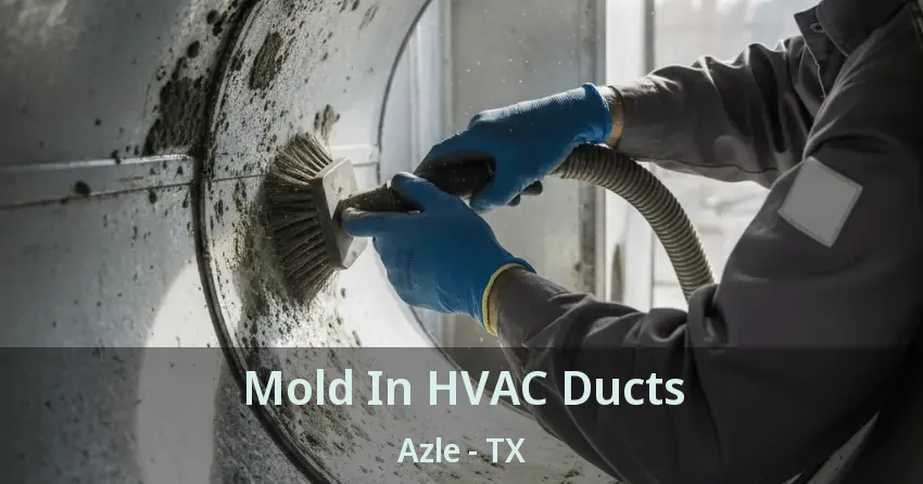Mold In HVAC Ducts Azle - TX