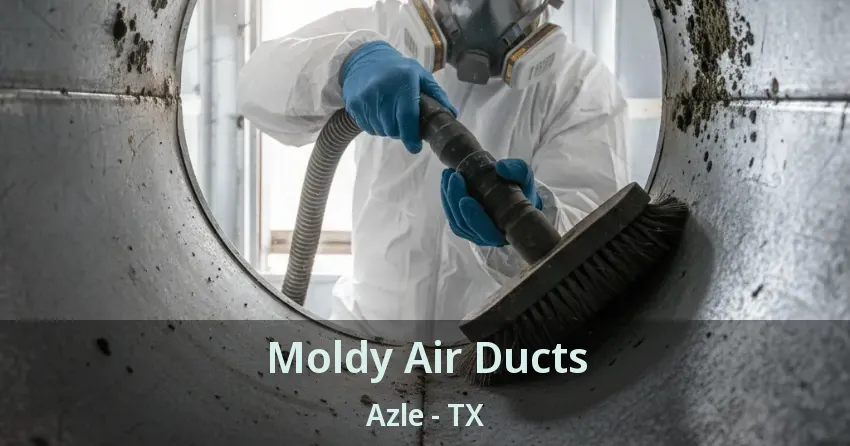 Moldy Air Ducts Azle - TX